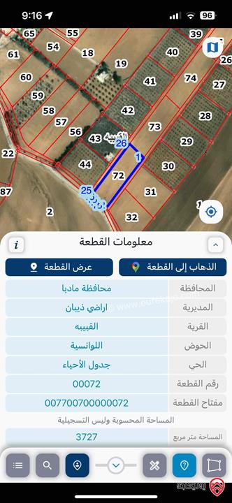 أرض مساحة 3725م للبيع في مادبا - ذيبان