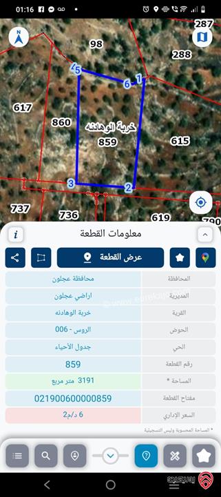 أرض مساحة 3 دونم و 190م للبيع في عجلون - خربة الوهادنة
