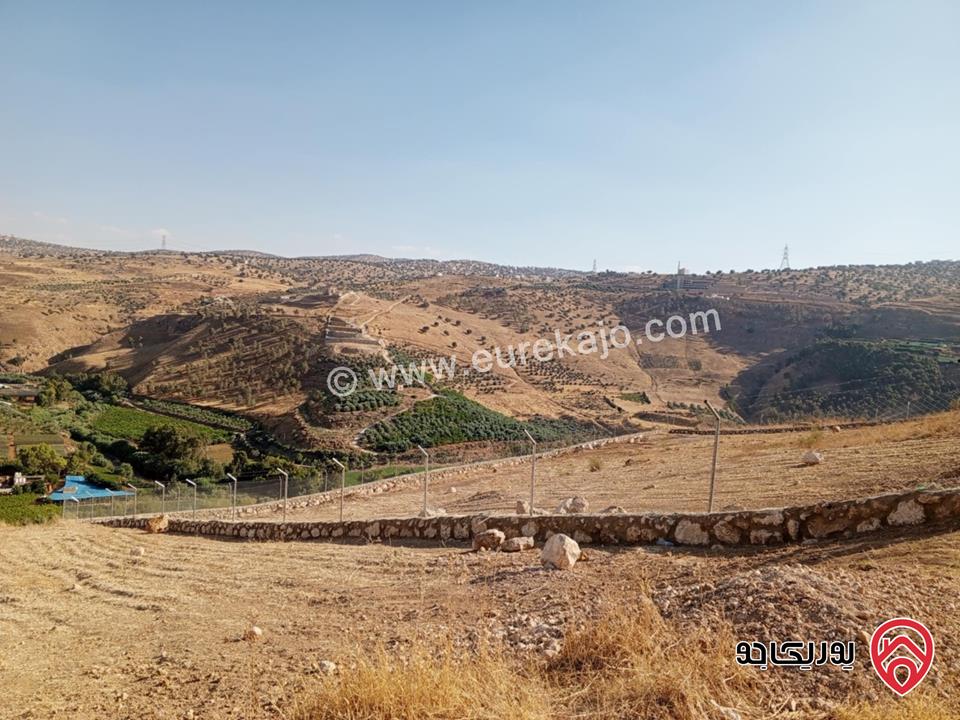 أرض مساحة 3 دونم و 796م قوشان مستقل للبيع من المالك مباشرة في جرش مطلة على سيل جرش، سنسال متر وشيك ارتفاع مترين على كامل القطعة بالاضافة الى شجر زيتون وحمضيات عدد 70