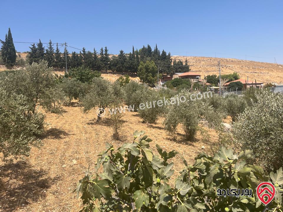 أرض مساحة 3 دونم و 600م للبيع في السلط