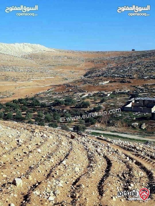 قطعة ارض زراعية مساحة 3 دونم و 400م للبيع في المفرق - عين والمعمرية