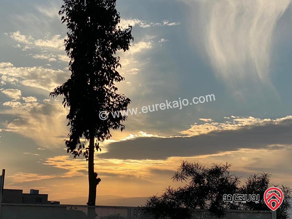 مزرعة و شاليه مساحة 480م وبناء 90م للبيع في البلقاء - دير علا ظهرة الرمل