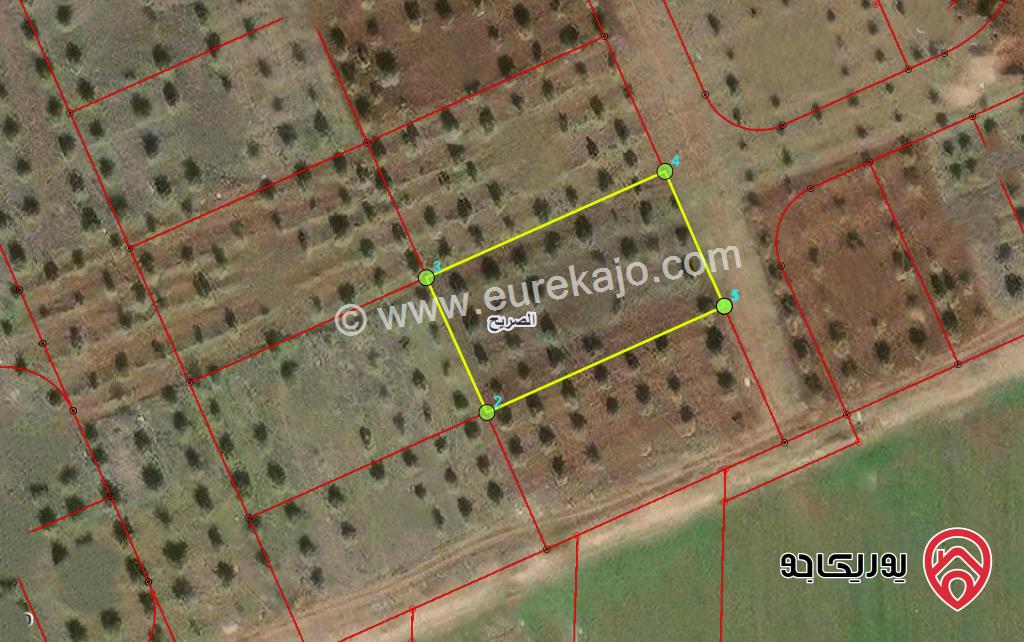 قطعة ارض مساحة 1591م للبيع في اربد - شرق ترخيص الصريح