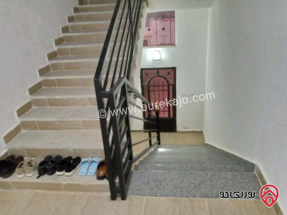 مزرعة مساحة الأرض 618م والبناء 100م للبيع في المفرق