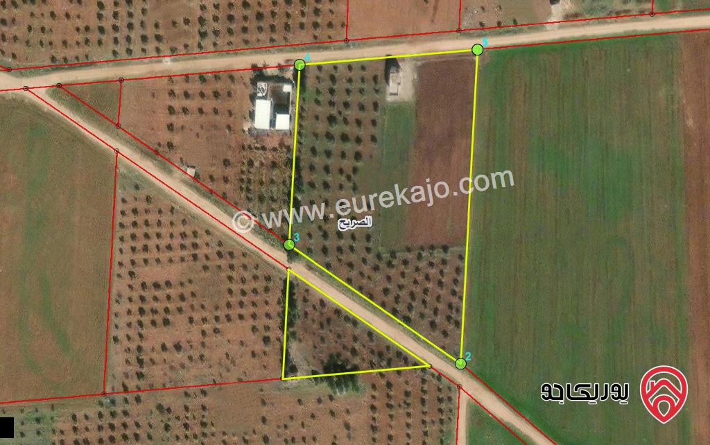 قطعة ارض مساحة 4 دونم مشترك للبيع في اربد بالقرب من مدارس الاكاديمية الكبرى 