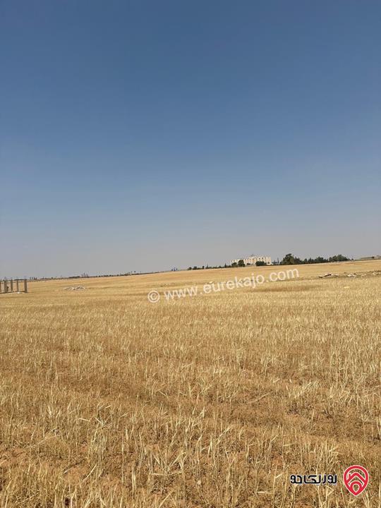 ارض مساحة 500م للبيع في عمان - منطقة الجيزة حوض الحجرة