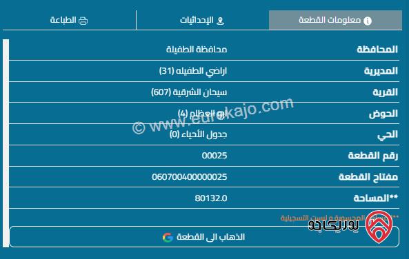 ارض للبيع مساحة 80 دونم من أراضي الطفيله سيحان الشرقيه 