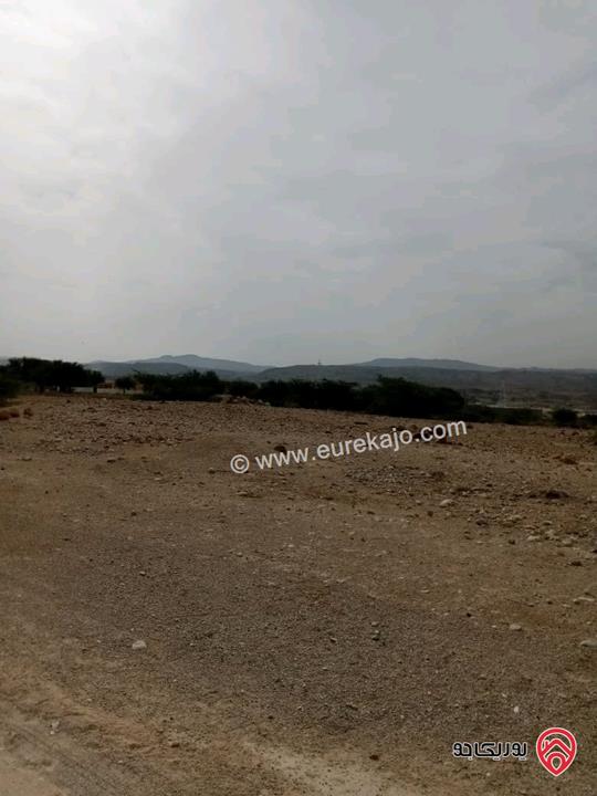 قطع أراضي بمساحات تبدأ من 2 دونم للبيع في البحر الميت قرب منتجع البحيرة