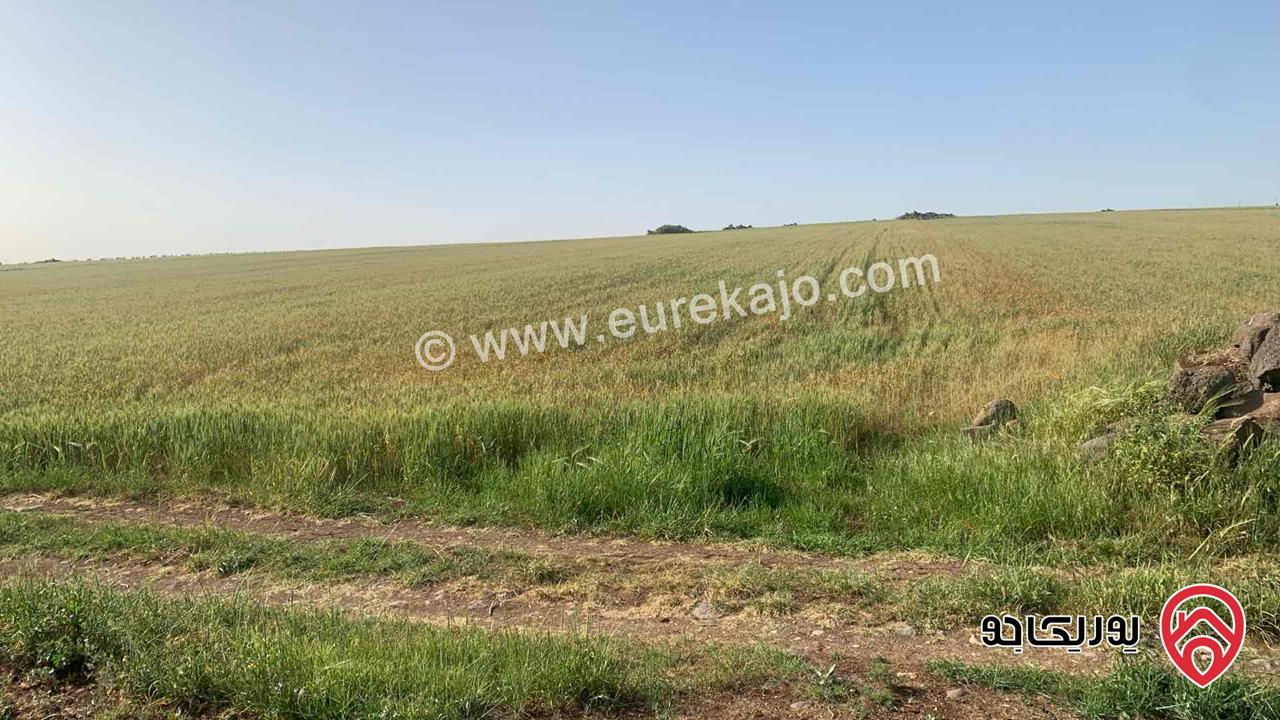 قطعة ارض مساحة 10 دونم للبيع شمال مدينة اربد منطقة ام قيس