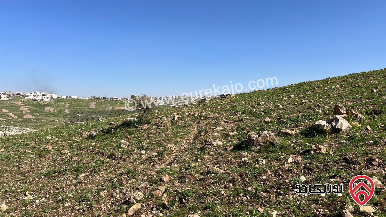 قطعة ارض مساحة 506م للبيع في عمان - ابو السوس