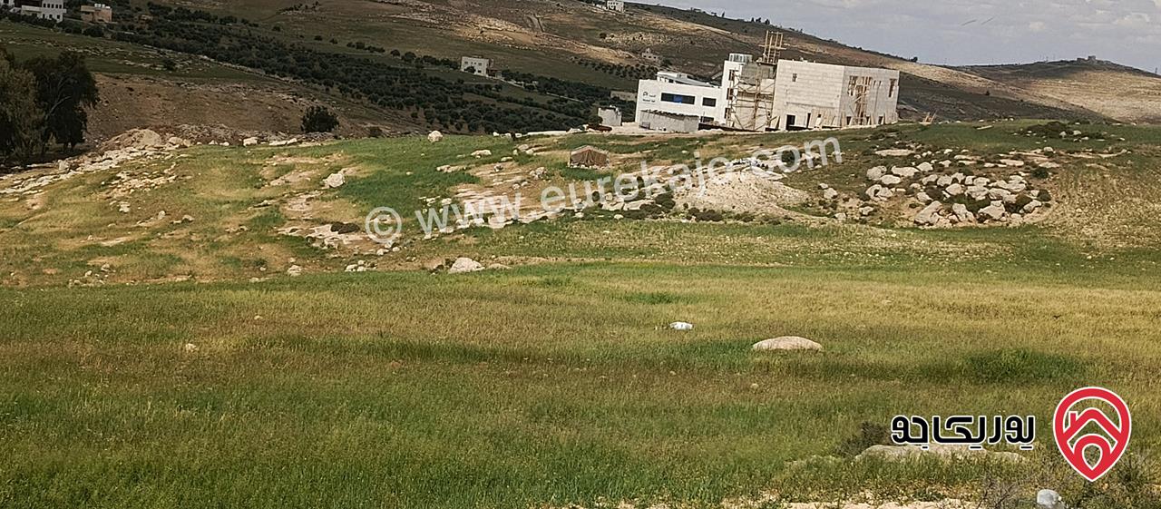 قطع ارضي مساحة 1 دونم للبيع في عمان - ابو نصير / المربط