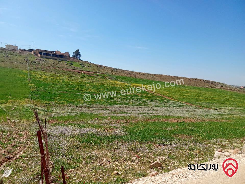 أرض مساحة 5 دونم و 500م للبيع في مادبا قرب الجامعة الامريكية