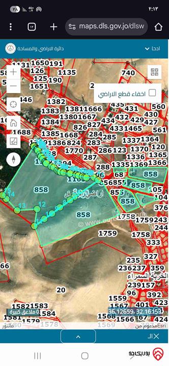 أرض مساحة 9 دونم مشترك للبيع بسعر 2000 للدونم في المفرق منطقة المزرعة بلعما