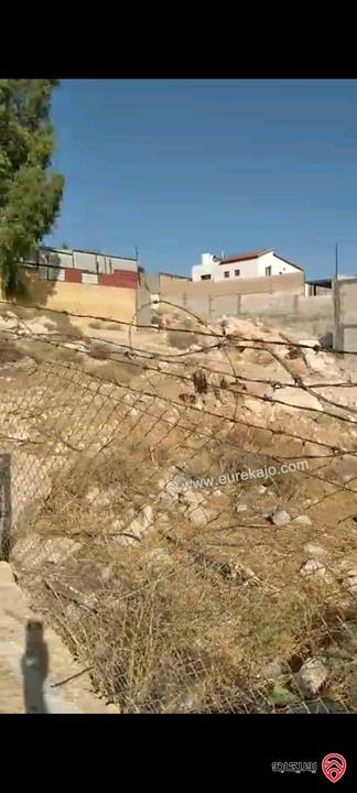 أرض مساحة 546م مزروعة بأشجار الزيتون للبيع في عمان - ناعور