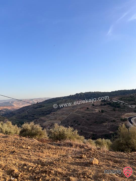 مزرعة مساحة الأرض 6 دونم و 500م للبيع في جرش منطقة جمله قريبة من محمية دبين اطلاله جميلة جداً وسعر حرق وربنا يبارك لصاحب النصيب