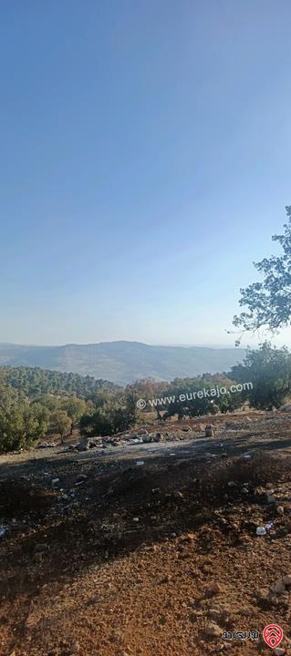 أرض مساحة 650متر للبيع في عمان - ابو السوس أسكان المهندسين