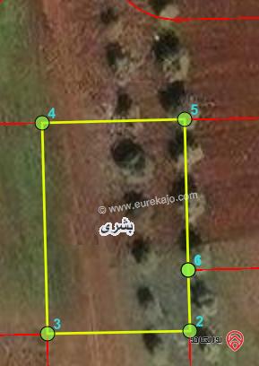 ارض للبيع 590م في اربد من اراضي بشرى ضمن حوض الكرسنة الغربي 