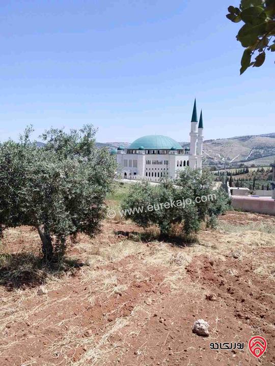 قطعة أرض مساحة 7 دونم للبيع في البلقاء - تل الرمان 