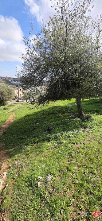 قطعة أرض مساحة 939م للبيع من أراضي غرب عمان - بلال