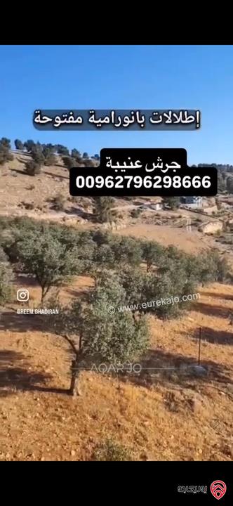 قطعة ارض استثمارية مساحة 3 دونم و 400م للبيع في جرش عنيبة