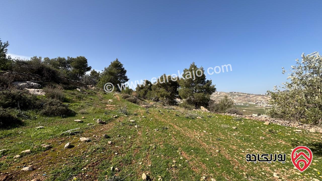 ارض مساحة 500م للبيع في عمان - ابونصير ام رجم