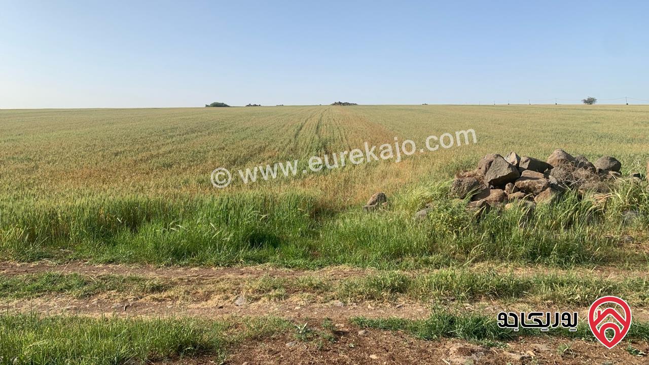 قطعة ارض مساحة 10 دونم للبيع شمال مدينة اربد منطقة ام قيس