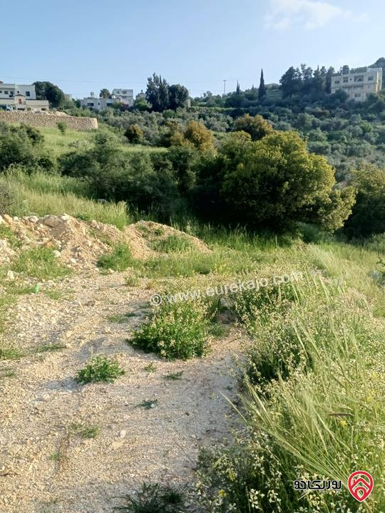 قطعة ارض سكنية مساحة 1 دونم و 145م للبيع في السلط