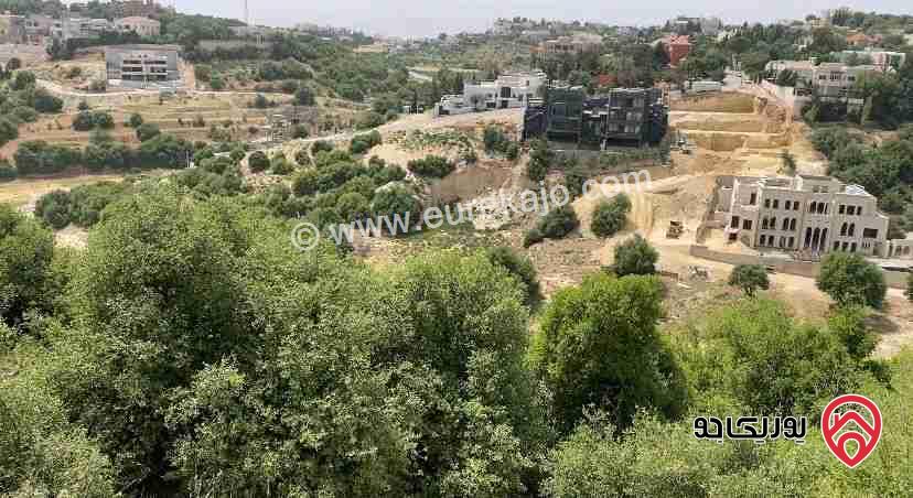  قطعة أرض مساحة 10 دونم للبيع في عمان - دابوق اراضي ابو ركبة