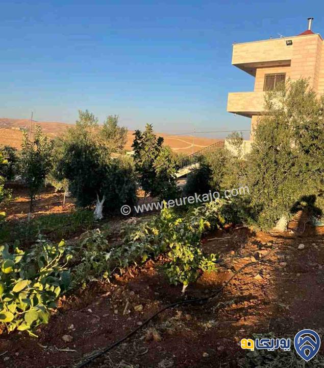مزرعة في القنية اطلالة عاليه وخلابه مشجرة بالاشجار المثمرة بمساحة 6800م