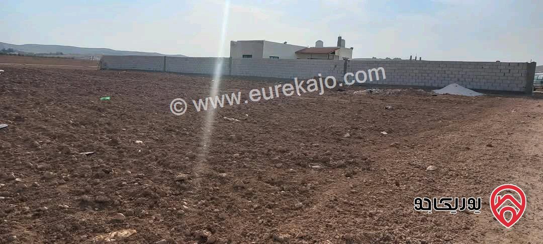 مزرعة مساحة الأرض 3 دونم و 400م مع منزل مستقل 120م للبيع في المفرق