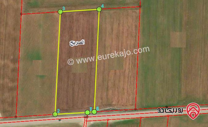 ارض للبيع مساحة 3250م في اربد - الصريح حوض المراريط الشرقي