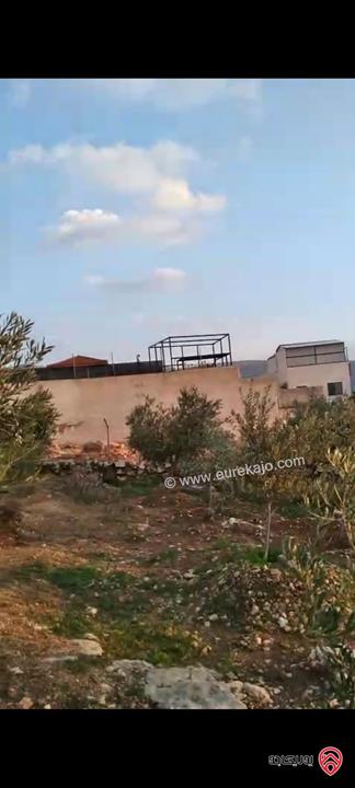 ارض مساحة 546م للبيع في عمان - ناعور زبود وسيل حسبان