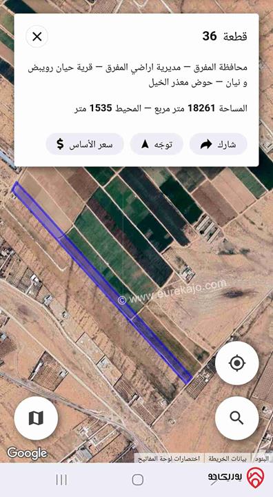قطعتين أرض بجانب بعض مساحتهم معاً 36 دونم للبيع في المفرق حيان الرويبض