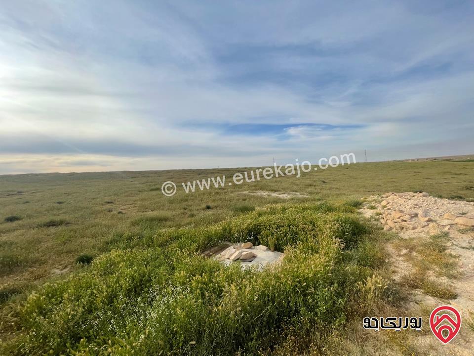 أرض مساحة 21 دونم و 400م للبيع من أراضي شرق عمان - الماضونة قرب جمرك عمان الجديد 