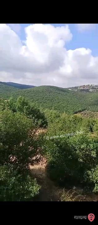 ارض مساحة 6 دونم للبيع في عجلون راسون اطلالة مميزة قابل للبيع من دونمين و أكثر