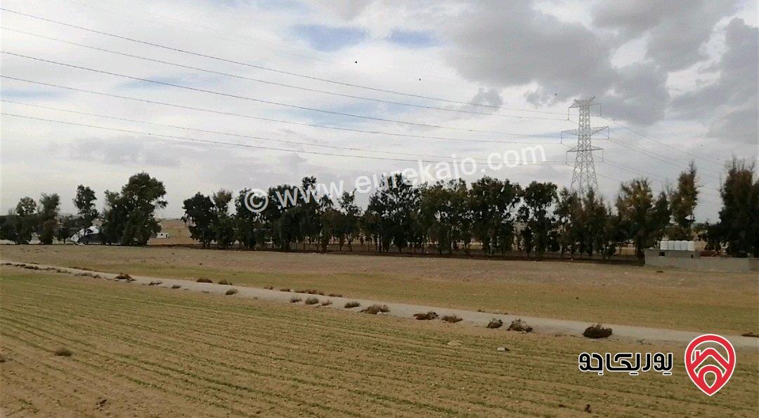 قطعة أرض مساحتها 550 متر على شارعين للبيع في عمان - الجيزة قرب مطار الملكة علياء 