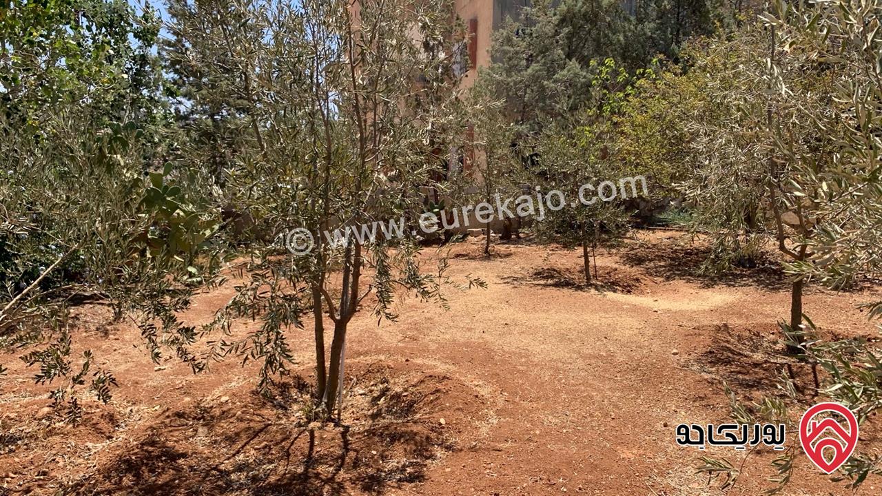 مزرعة مساحة الأرض 2 دونم للبيع بدون منزل في جرش حي الجبارات