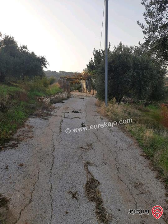 مزرعة زيتون مساحة الأرض 8 دونم و 300م و البناء مساحة 100م للبيع في السلط