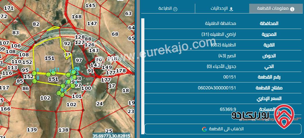 قطعة ارض مساحة 65 دونم للبيع في الطفيلة 