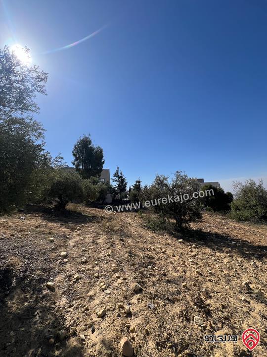 قطعة ارض مساحة 1 دونم للبيع في عمان الغربيه ماحص (بدر الجديده)