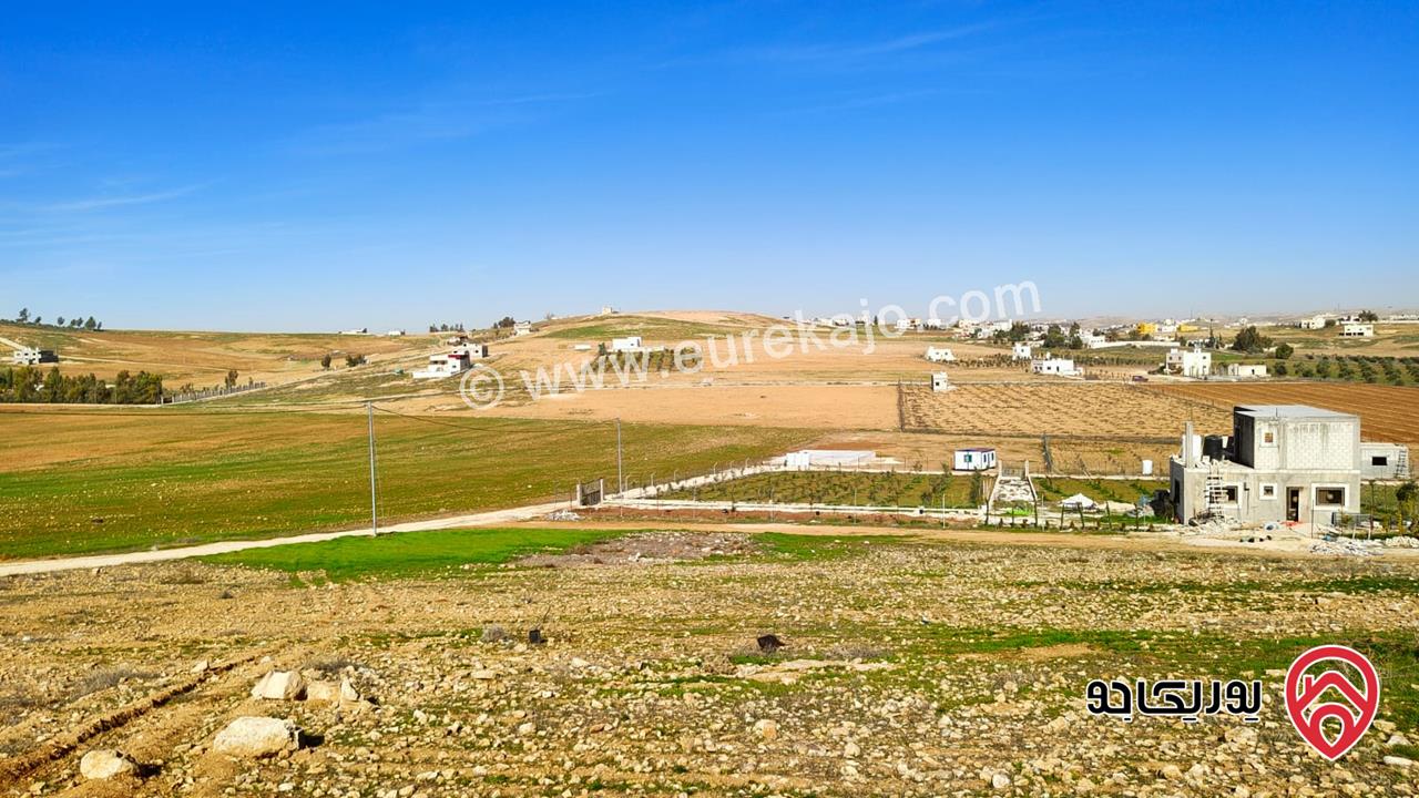 ارض مساحة 3 دونم و 750م للبيع في المفرق - بلعما