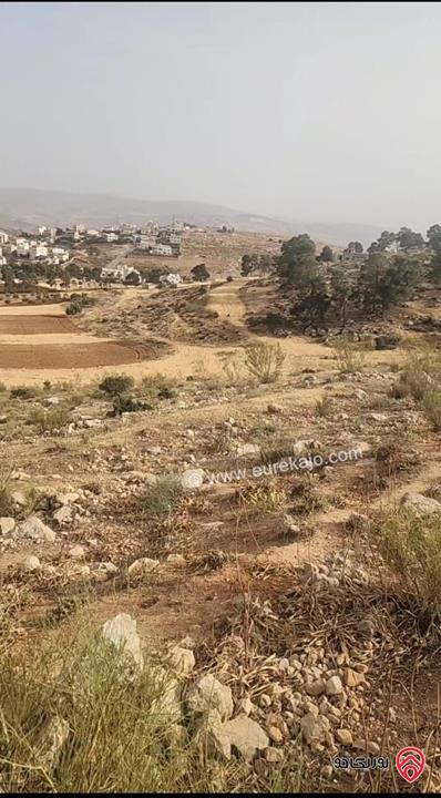 أرض سكنية قريبة من التنظيم مساحة 3 دونم و 885م للبيع في جرش – خلال الزلابية بسعر لقطة