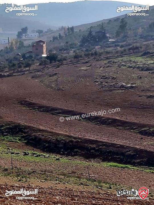 قطعة ارض زراعية مساحة 3 دونم و 400م للبيع في المفرق - عين والمعمرية