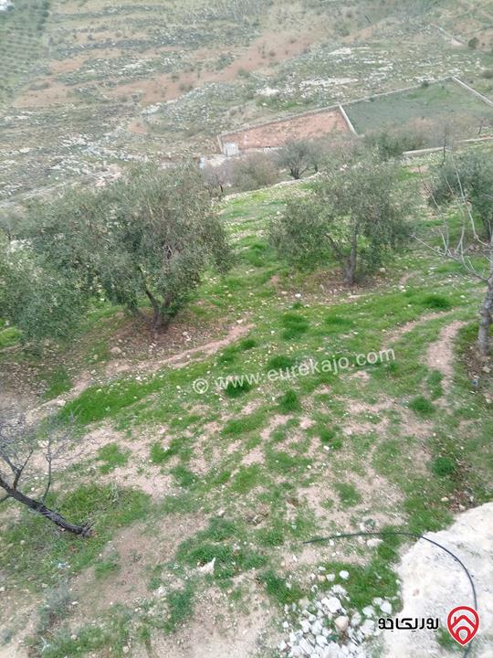 قطعة أرض مساحة 10 دونم و 704م للبيع في الزرقاء - بيرين