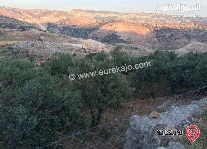 أرض مساحة 3 دونم و 427م للبيع في السلط