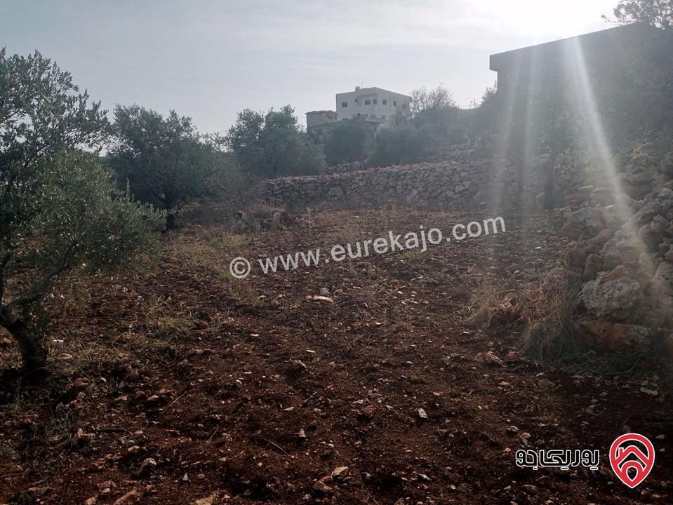 قطعة أرض مساحة 2 دونم و 225م على شارعين رئيسي وفرعي شرقي شمالي صفة التظيم سكن ج وسط للبيع في عجلون - كفرنجه