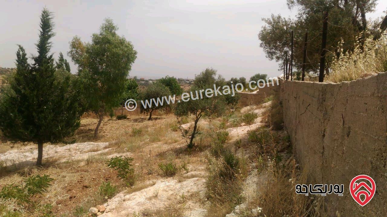 ارض مساحة 1693م للبيع في السلط - ام جوزة 
