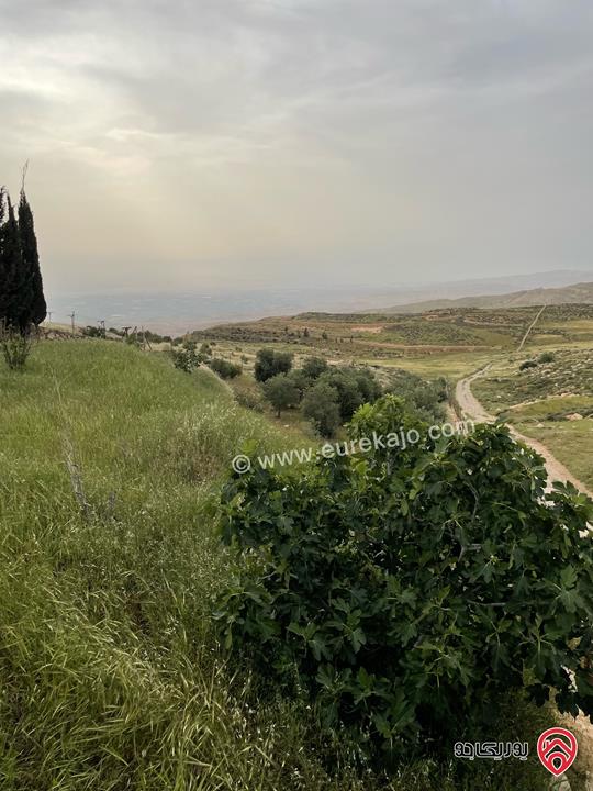 قطعة أرض مميزة مساحة 5 دونم للبيع في عمان - ناعور المشقر