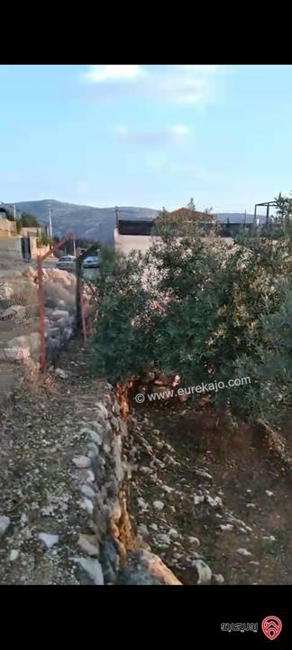 ارض مساحة 546م للبيع في عمان - ناعور زبود وسيل حسبان