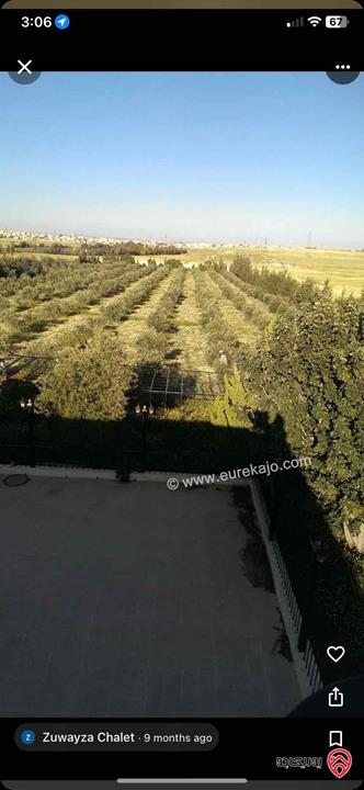 مزرعة مساحة 10 دونم مشجرة زيتون مع بيت مساحة 200م وسكن حارس وسور على كامل المزرعة للبيع في عمان - منطقة زويزا 